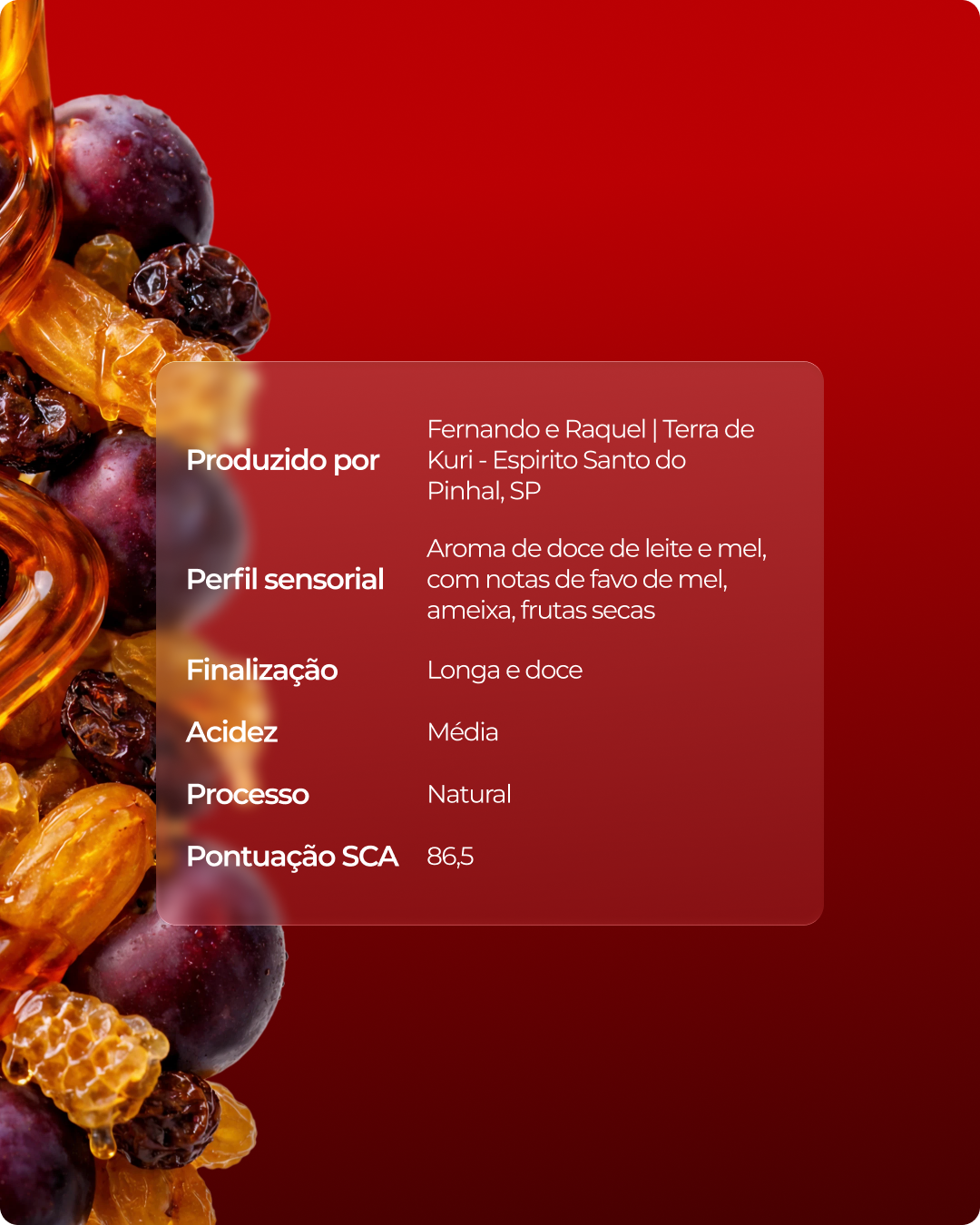 Café Catuaí Vermelho