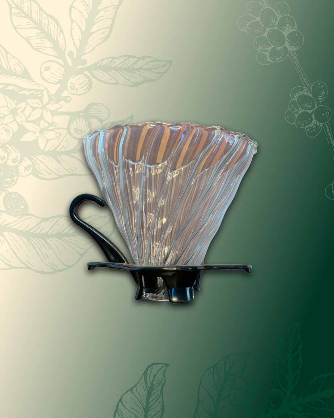 Coador V60 - Vidro